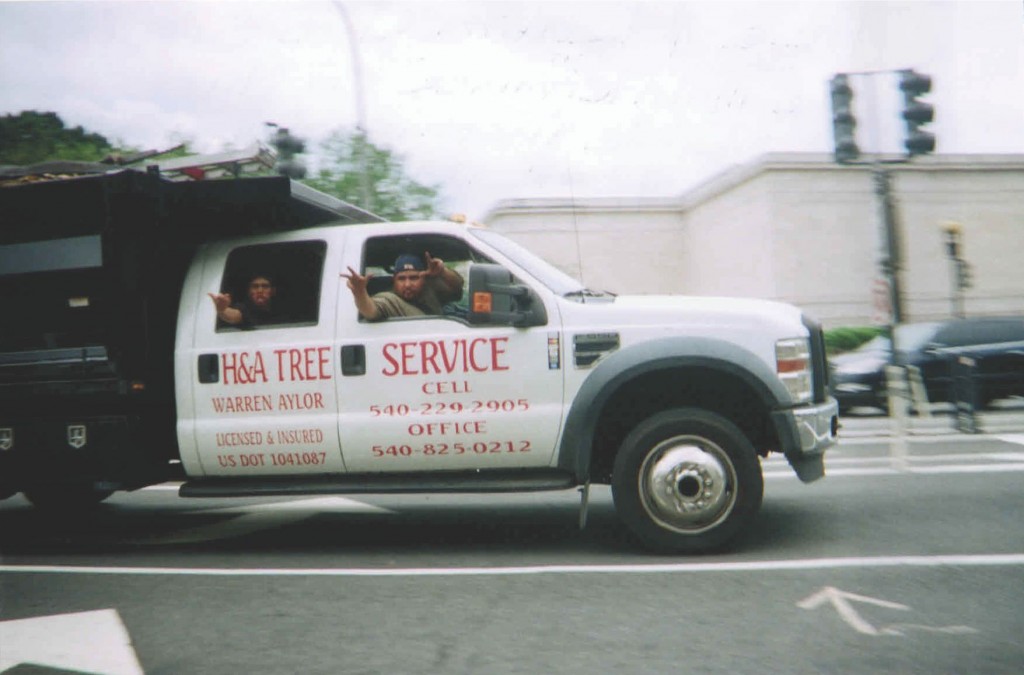 Tree and lawn care service. The maintenance culture is a stable income derived all the year round. You could see that they enjoy their job